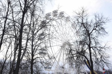 Dönme dolap eğlencesi, dönme dolap, kışın yaprakları olmayan ağaçların arka planında.