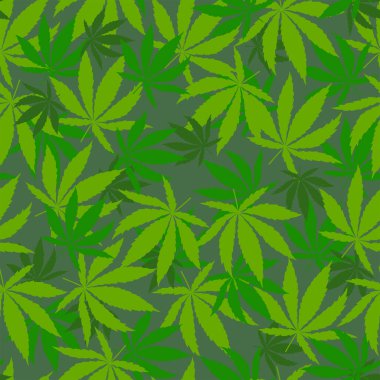 Parlak yeşil kenevir pürüzsüz bir iz bırakır. Bahar havası. Botanik arkaplan.