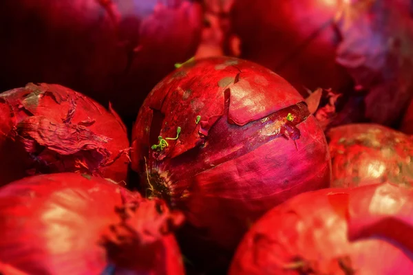 Makro ayrıntı kırmızı soğan — Stok fotoğraf