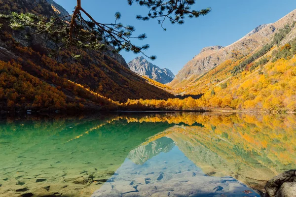 Horské Jezero Průzračnou Vodou Barevnými Podzimními Stromy Hory Jezero — Stock fotografie