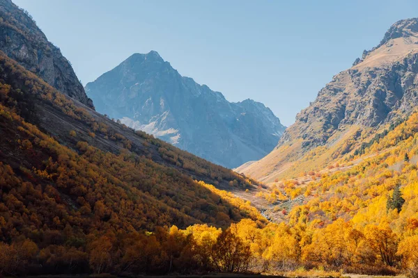 Klippiga Berg Och Höstskog Högt Bergslandskap — Stockfoto