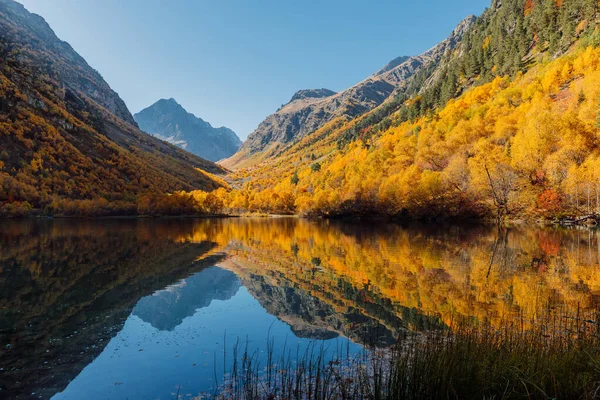 Horské Jezero Průzračnou Vodou Barevnými Podzimními Stromy Hory Jezero — Stock fotografie