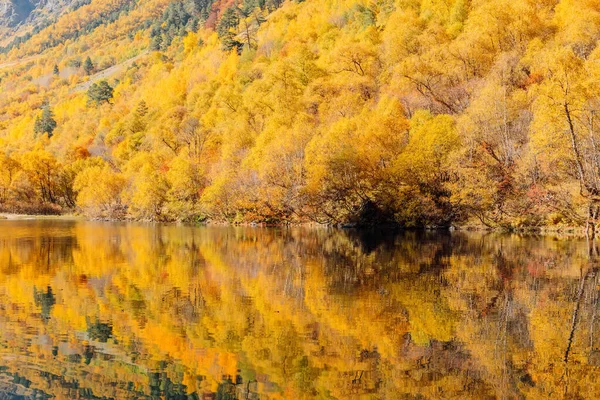 Horské Jezero Odrazem Barevnými Podzimními Stromy Podzimní Krajina — Stock fotografie