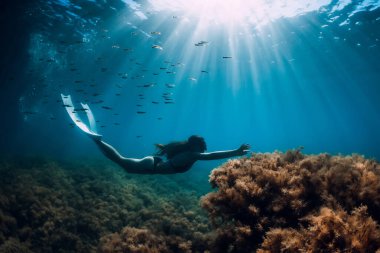 Beyaz yüzgeçli özgür bir kadın, deniz yosunlarının üzerinden balık ve güneş ışınlarıyla süzülüyor. Okyanusta serbest dalış
