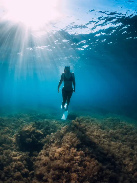 更自由的女人带着白鳍带着太阳光滑过海藻的底部 在海洋中在水下自由航行 — 图库照片