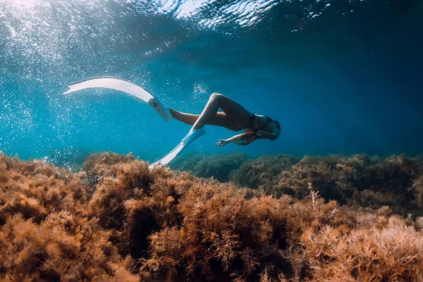 白いフィンを持つ自由な女性は 太陽光線で海藻の底の上に滑空します 海中でのフリーダイビング — ストック写真