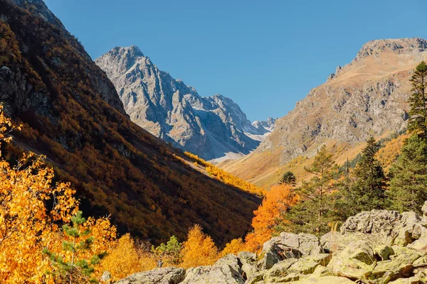 Скелясті Гори Осінні Ліси Європі Високий Гірський Ландшафт — стокове фото