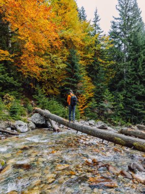 Sonbahar dağlarında nehrin üzerinde bir kütükte gezen adam. Dağ nehri ve gezgin
