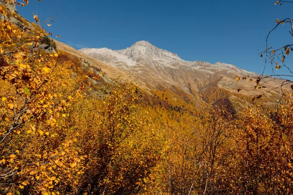 Скелясті Гори Осінній Ліс Високий Гірський Ландшафт — стокове фото
