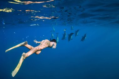 Genç bir kadın mavi okyanusta yunuslarla yüzüyor.