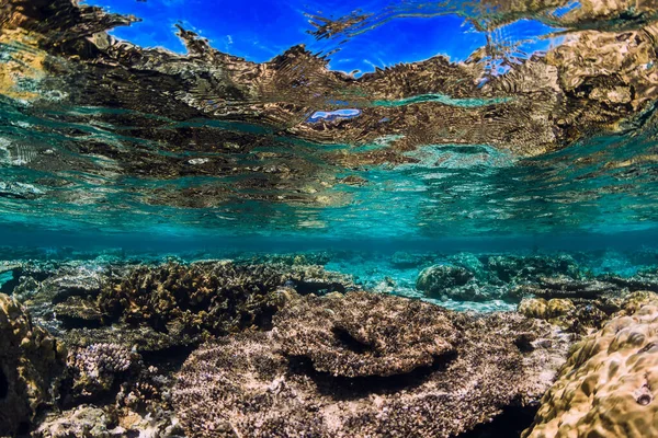 Récif Sous Marin Avec Coraux Poissons Dans Océan Tropical — Photo