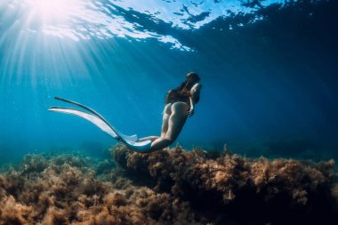 Özgür yüzgeçli genç bir kadın güneş ışınlarıyla denizin altında süzülüyor. Şeffaf okyanusta serbest dalış