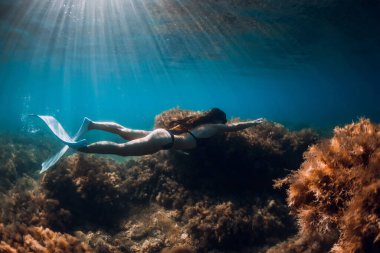 Beyaz yüzgeçli Freediver kızı kayaların yanında süzülüyor yosun ve güneş ışınlarıyla. Mavi okyanusta serbest dalış ve güzel bir ışık