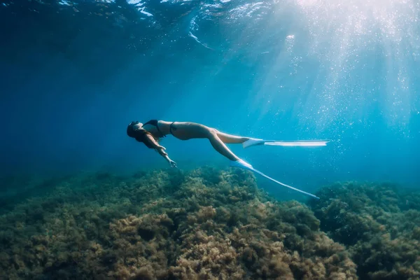 Freediver Fiatal Fehér Uszonyok Siklik Tenger Alatt Napsugarak Szabadulás Átlátszó — Stock Fotó