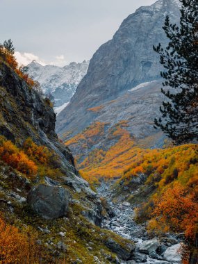Mountains, canyon and autumnal trees. High mountain landscape with river