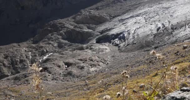 Glaciar Las Montañas Dombay — Vídeo de stock