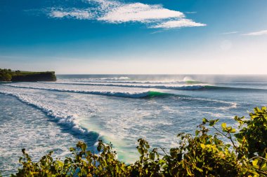 Okyanusta büyük ve uzun dalgalar. Sörf için mükemmel bir dalga.