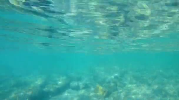 Ondas Bajo Agua Con Rayos Sol Agua Cristalina Transparente Mar — Vídeo de stock