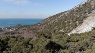 Kışın orman ve mavi deniz manzaralı bir dağ..