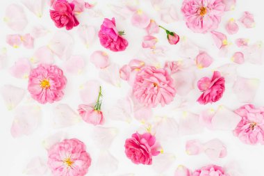 Beyaz arka planda gül çiçeklerinin pembe çiçek desenli bileşimi. Düz yatış, Üst Görünüm.