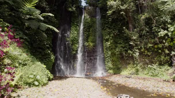 Cascada Selva Tropical Bali — Vídeo de stock