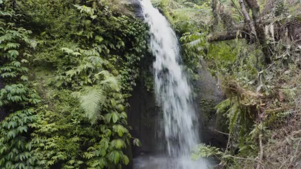 Vízesés Trópusi Esőerdőben Balin — Stock videók