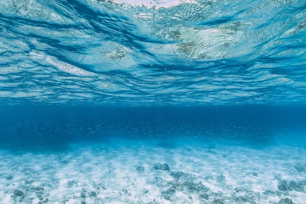 Océan Bleu Tropical Avec Peu Poissons Sous Marins Fond Océanique — Photo