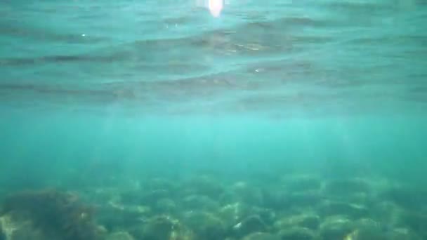 Vågor Vattnet Med Solstrålar Genomskinligt Vatten Med Havsyta — Stockvideo