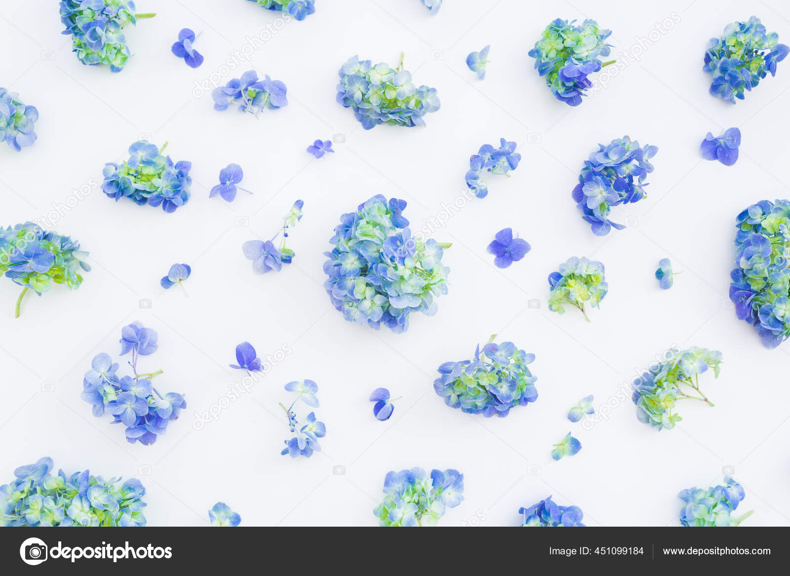 Flores minimalistas fotos de stock, imágenes de Flores minimalistas sin royalties | Depositphotos Flores minimalistas fotos de stock, imágenes de Flores minimalistas sin royalties | Depositphotos
