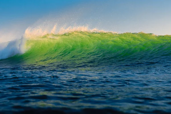 Perfect green wave in ocean. Breaking wave with evening sun light