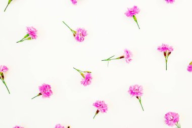 Beyaz arka planda pembe çiçekli çiçek kompozisyonu. Düz yatış, Üst Görünüm