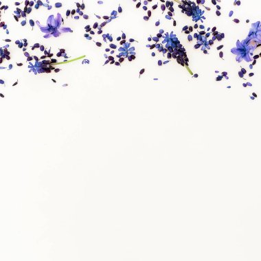 Mavi çiçekli çerçeve ve beyaz arka planda taç yaprakları. Düz yatış, üst görünüm.
