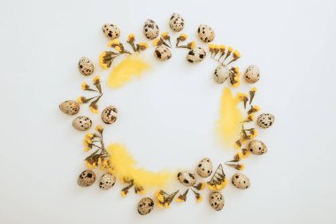 Yuvarlak yumurta çerçevesi ve beyaz arka planda sarı çiçekler. Düz yerde, üst tarafta. Paskalya tatili