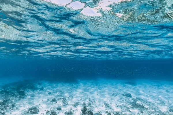 热带海洋 水下有成群的小鱼 蓝色海洋背景 — 图库照片