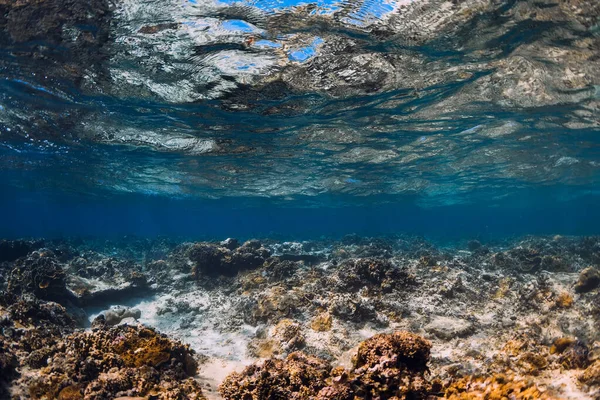 热带海洋 水下有珊瑚 海洋背景 — 图库照片