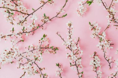 Pembe arka planda bahar çiçekleri olan dalların bahar deseni. Düz yatış, üst görünüm.