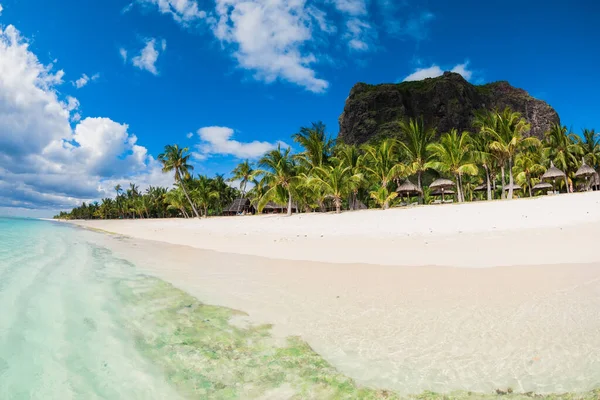 Vista Isla Tropical Océano Con Playa Arena Blanca Palmeras Cielo — Foto de Stock