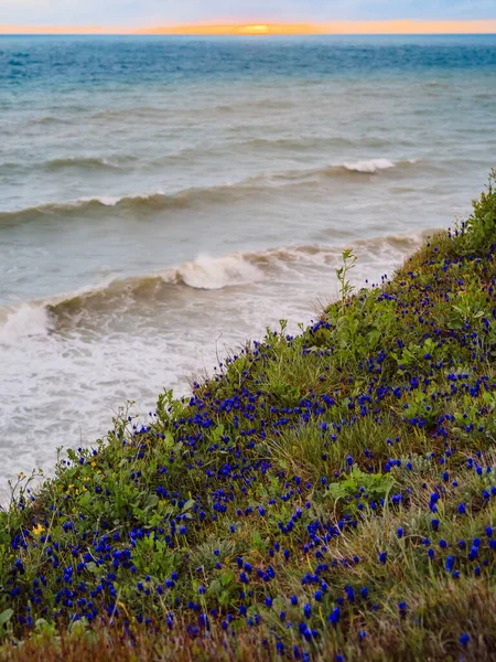 Moře Bouřkovými Vlnami Zamračenou Oblohou Kvetoucími Muškátovými Květy — Stock fotografie