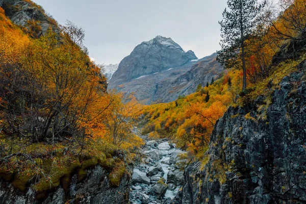 Klippiga Berg Raviner Och Höstträd Högsta Bergslandskap Med Älv — Stockfoto