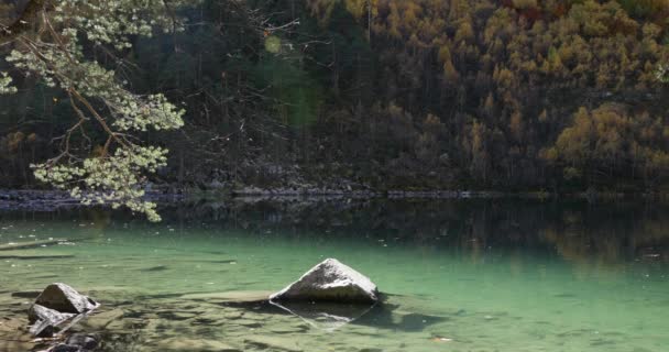 Ορεινή Λίμνη Διάφανο Νερό Και Φθινοπωρινά Δέντρα — Αρχείο Βίντεο