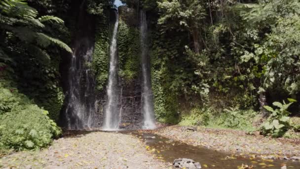 Cascada Bosque Tropical Isla Bali — Vídeos de Stock