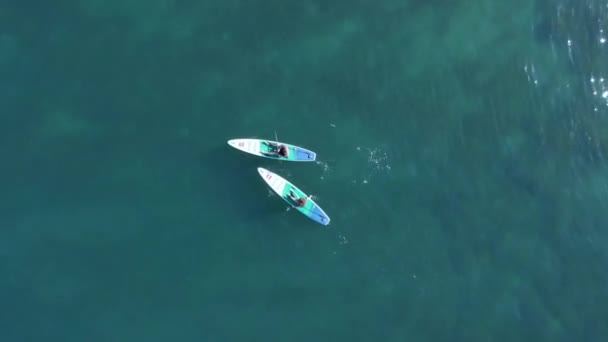 Mayo 2021 Anapa Rusia Pareja Viajando Stand Paddle Board Océano — Vídeo de stock