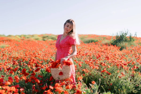 Atractiva Mujer Rubia Campo Amapola Atardecer Concepto Libertad Con Colores — Foto de Stock