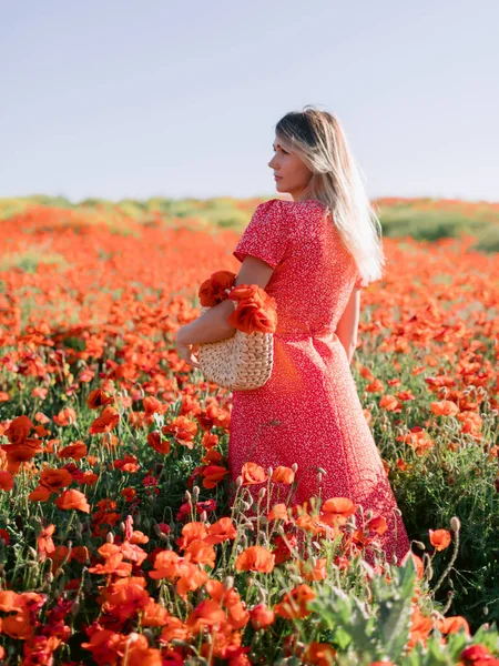 Attractive Blonde Woman Poppy Field Sunset Concept Freedom Soft Colors — Stock Photo, Image