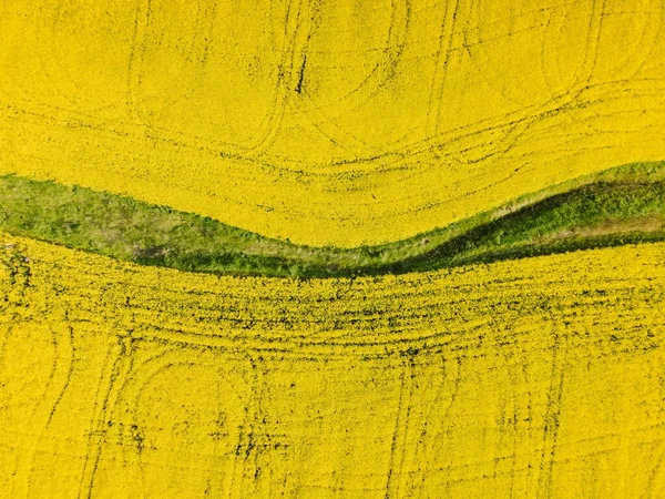 Çiçek Açan Sarı Kolza Tohumu Tarlası Alan Dokuları Ile Hava — Stok fotoğraf