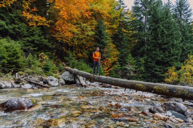 Hiker man on a log over the river in mountains. Mountain river and hiker traveller