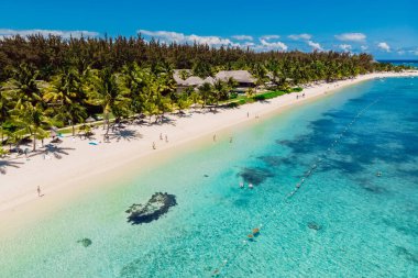 Tropical idyllic beach in Mauritius. Sandy beach with palms and ocean. Aerial view