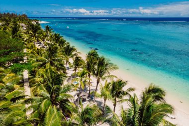 Tropical idyllic beach in Mauritius. Sandy beach with palms and ocean. Aerial view