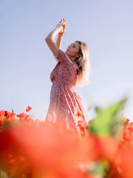 Attractive Blonde Woman Poppy Field Sunset Concept Freedom Soft Colors — Stock Photo, Image