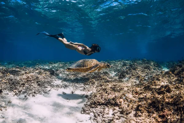 Woman Free Diver Glides Underwater Ocean Sea Turtle — Stockfoto